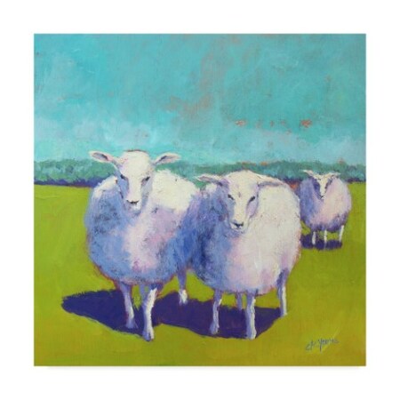 Trademark Fine Art Carol Young 'Sheep Pals I' Canvas Art, 18x18 WAG05053-C1818GG